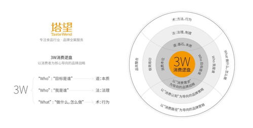塔望核心業(yè)務(wù)介紹 食品品牌咨詢、品牌策劃與健康咨詢服務(wù)的專業(yè)體系